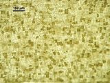Organi uniloculari in visione superficiale